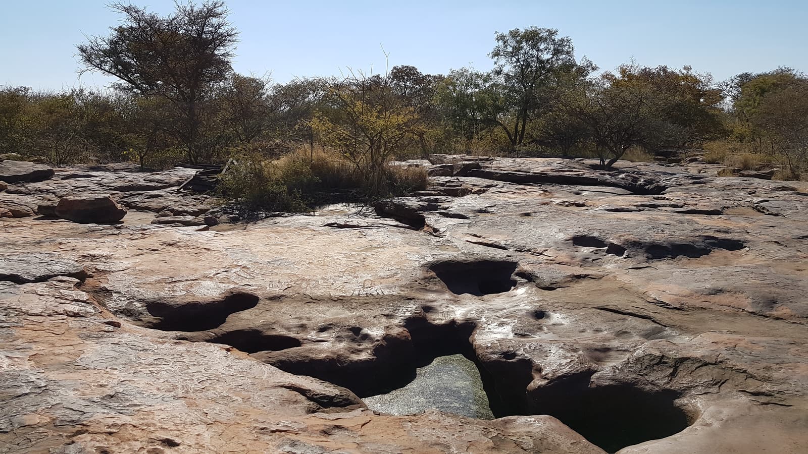 Water-filled holes in the sandstone at the Matsieng Footprints site