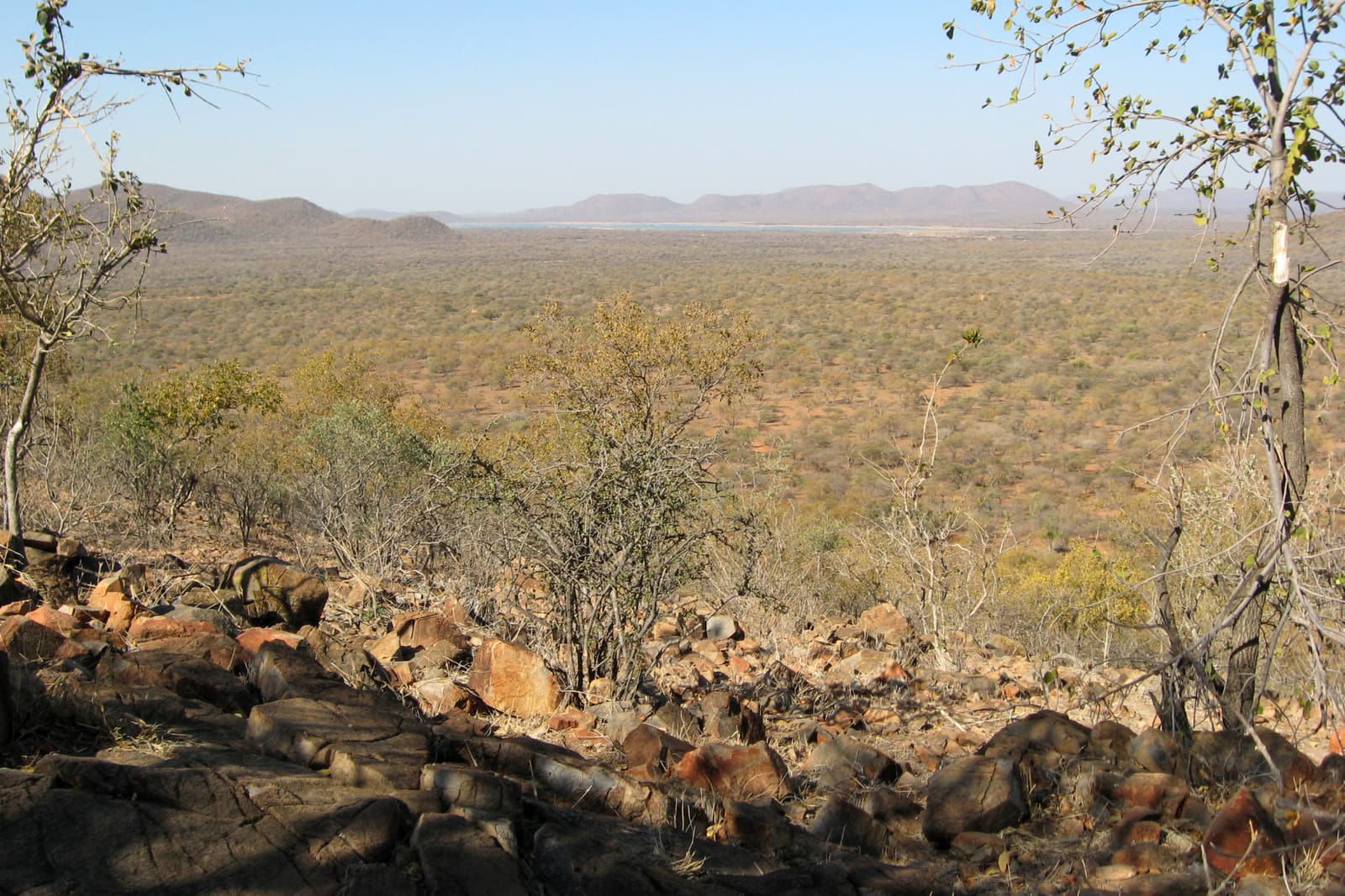 View over the bush-covered hills of Mokolodi Nature Reserve