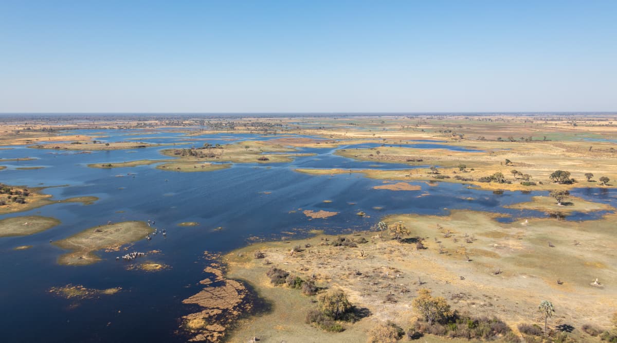 Aerial view of channels and islands in the Okavango Delta