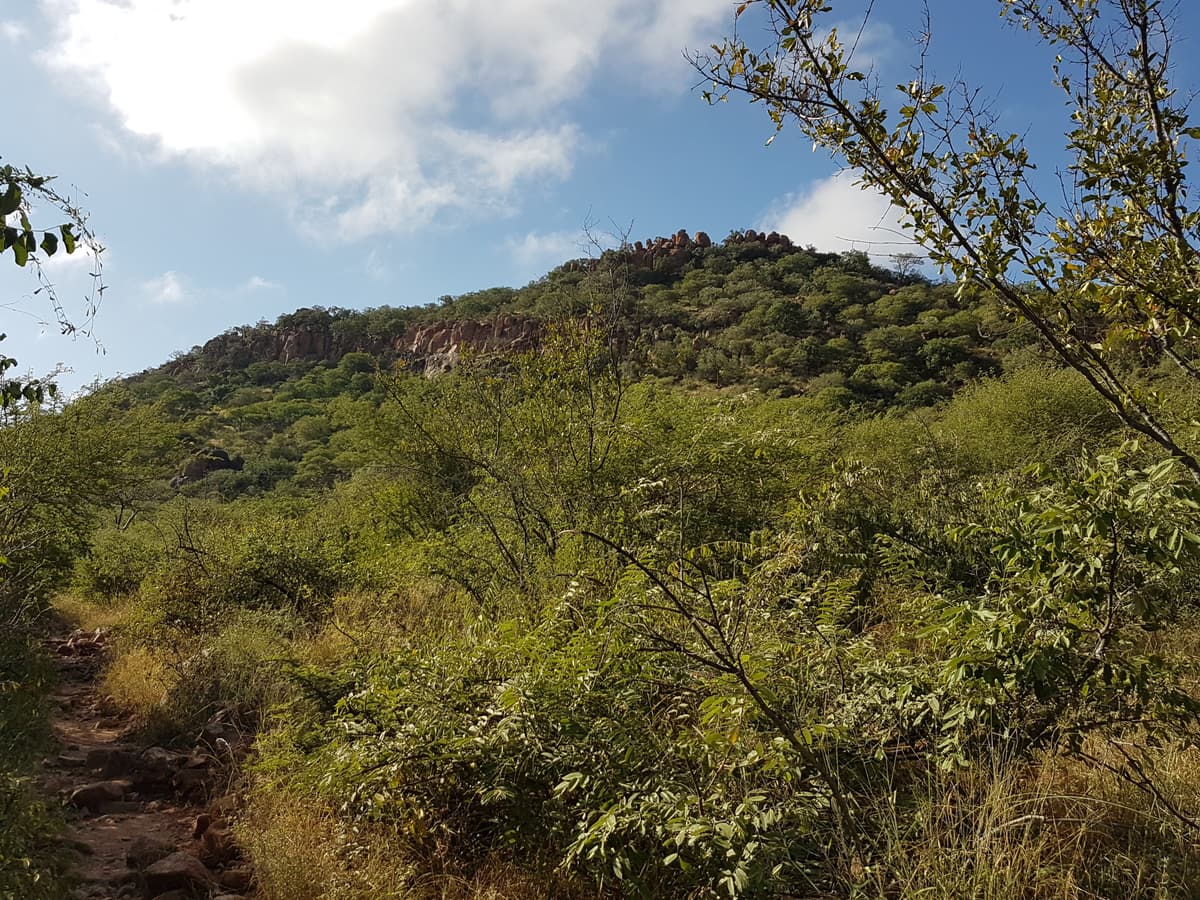The rocky trail up Kgale Hill above Gaborone